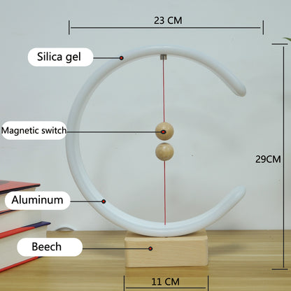 Magnetic Suspension Balance Light