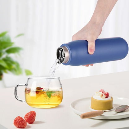 UV Self Cleaning Water Bottle